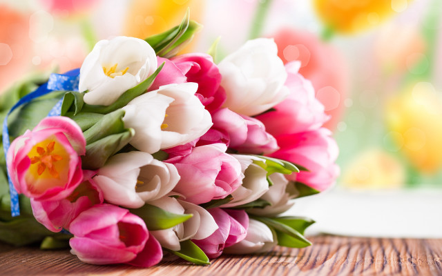 Bouquet tulips table window background free wallpaper - medium preview image