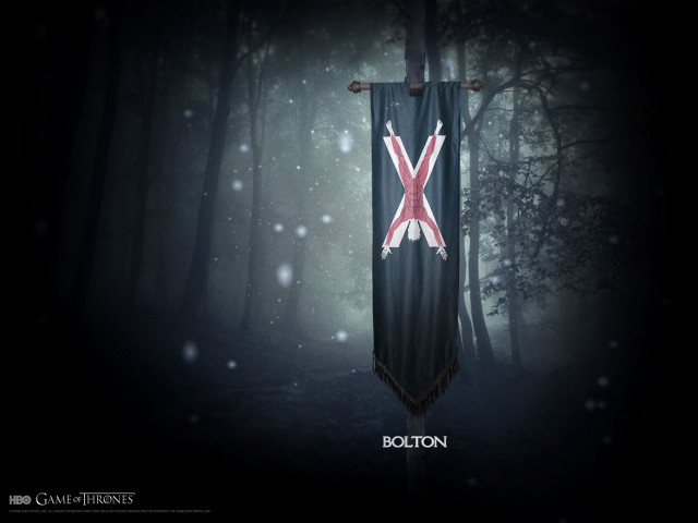 Red x banner woods snow free wallpaper - medium preview image