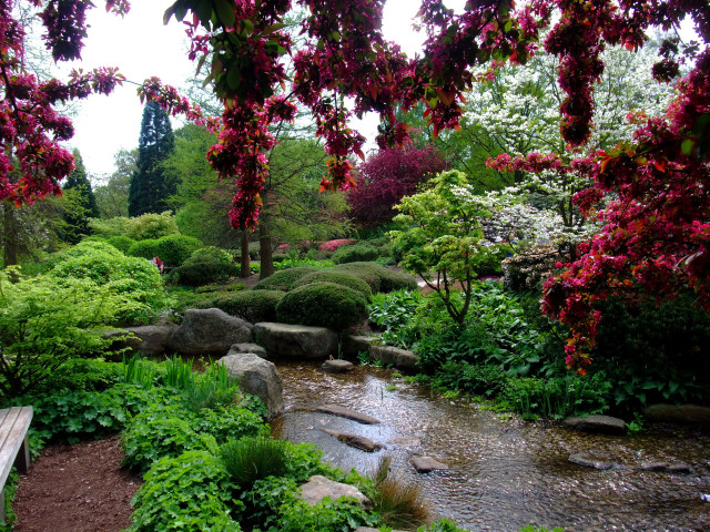 Small stream lush park trees free wallpaper - medium preview image