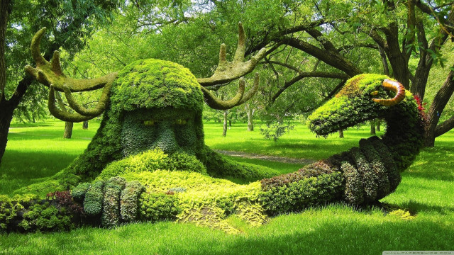 Animals plants field grass trees free wallpaper - medium preview image