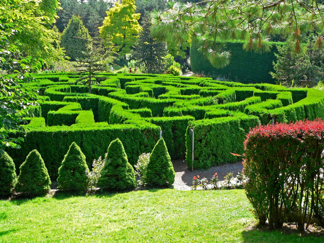 Large green garden maze lawn free wallpaper - medium preview image
