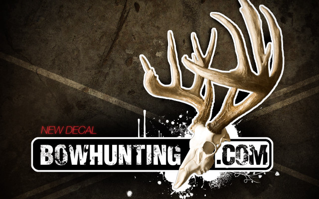Deer skull bowhunting sticker focal free wallpaper - medium preview image