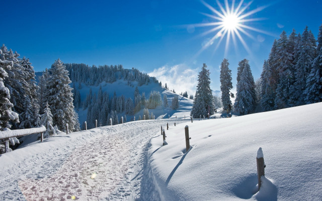 Snow covered mountain sun trees #3 free wallpaper - medium preview image