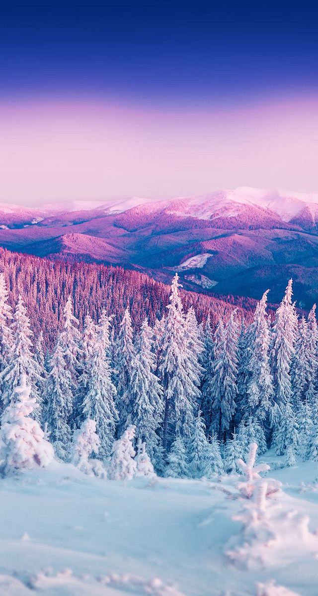 Snowy mountains pink sky trees free wallpaper - medium preview image