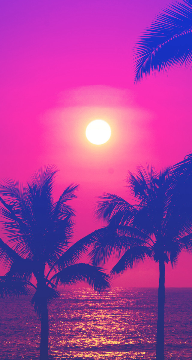 Sunset palm trees ocean pink free wallpaper - medium preview image