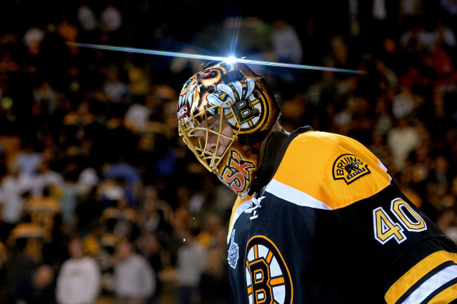 Hockey player goalie mask crowd free wallpaper - medium preview image