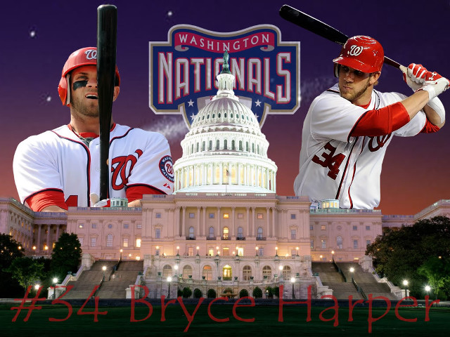Baseball player capitol building washington free wallpaper - medium preview image