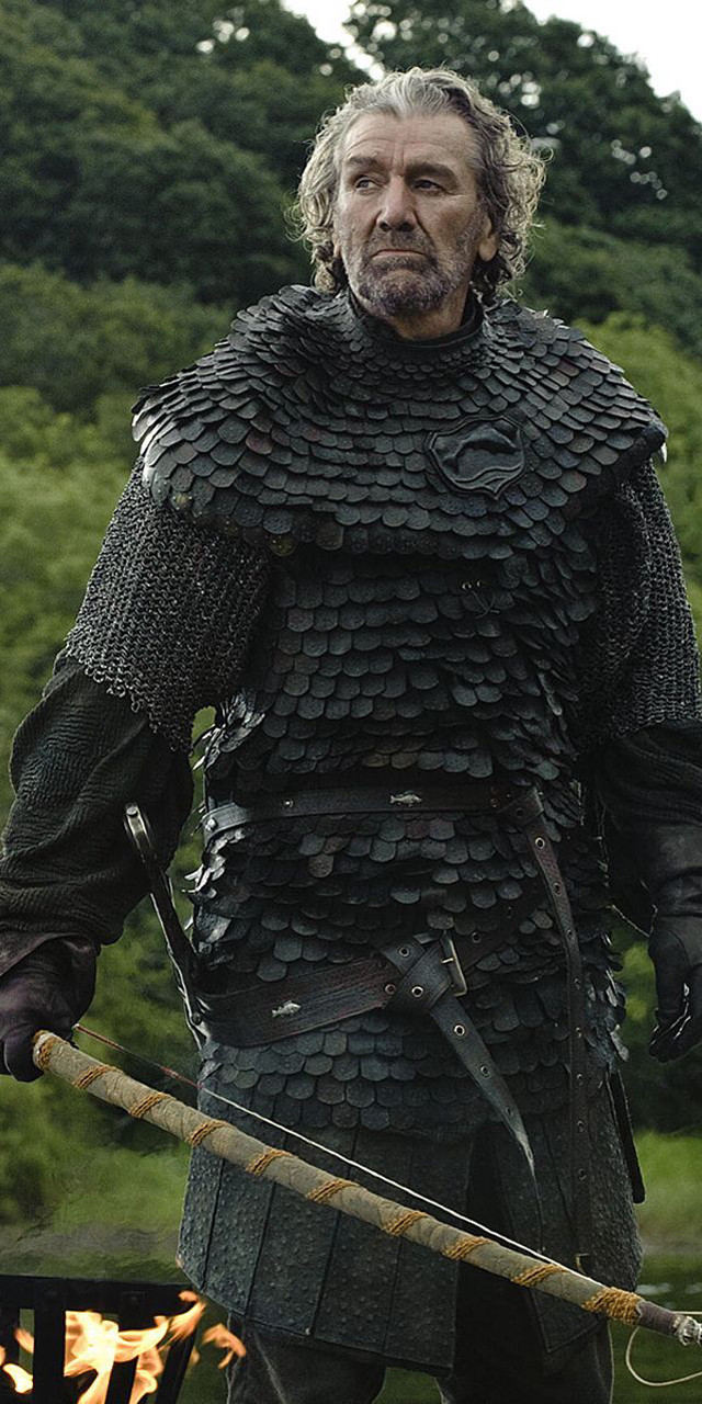 Man armor sword firepit forest free wallpaper - medium preview image