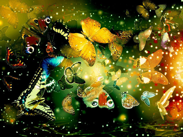 Butterflies flying water grass bright free wallpaper - medium preview image