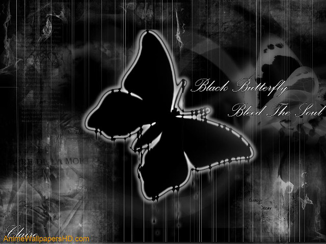 Black butterfly white outline black free wallpaper - medium preview image
