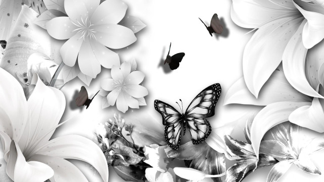 Butterfly flowers black white background #2 free wallpaper - medium preview image