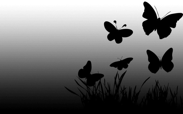 Butterflies flying grass field tall free wallpaper - medium preview image