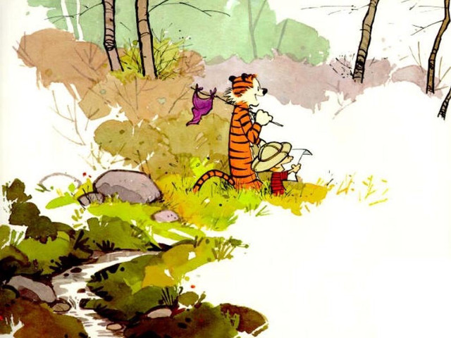 Tiger dog woods stream forest free wallpaper - medium preview image