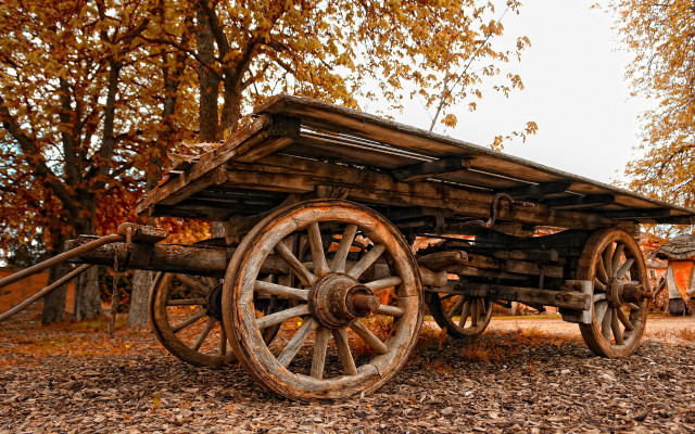Wooden wagon autumn leaves forest free wallpaper - medium preview image