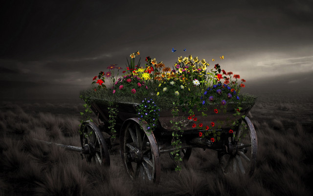 Wagon flowers field cloudy sky free wallpaper - medium preview image