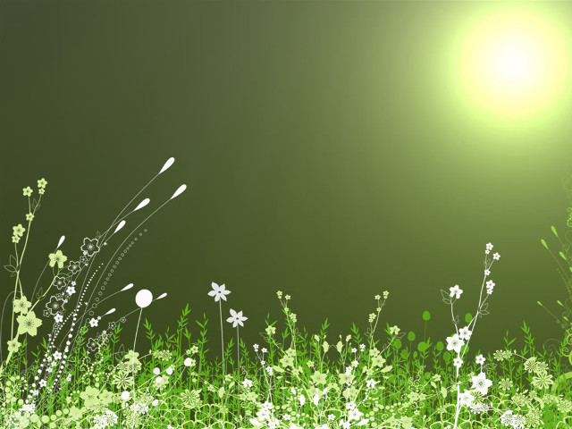Green white flowery field bright free wallpaper - medium preview image