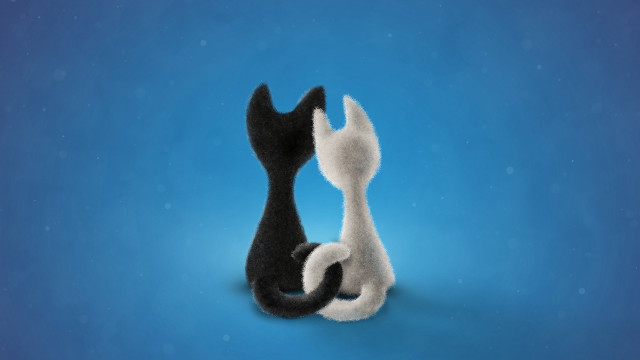Stuffed animals blue night sky free wallpaper - medium preview image
