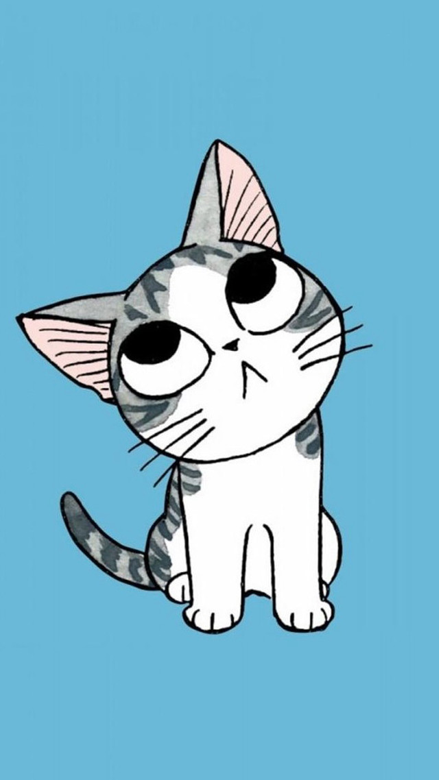 Cat hat looking up blue free wallpaper - medium preview image