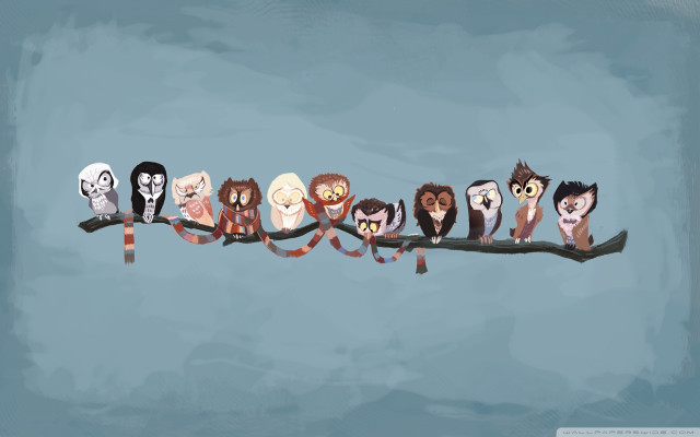 Owls branch ribbon eyes group free wallpaper - medium preview image