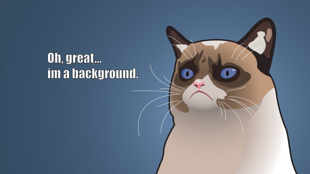 Sad cat quote image #2023 free wallpaper - medium preview image