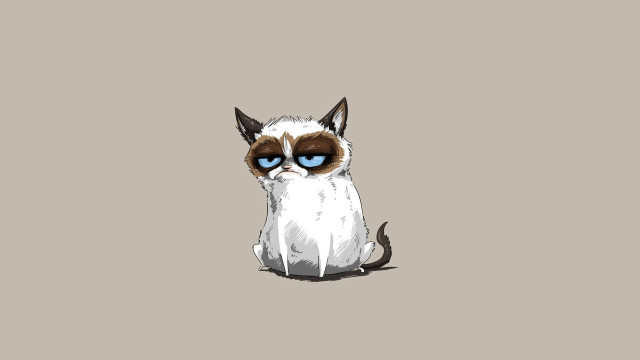 Blue eyed cat gray background free wallpaper - medium preview image