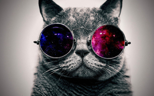 Cat glasses space theme moon free wallpaper - medium preview image