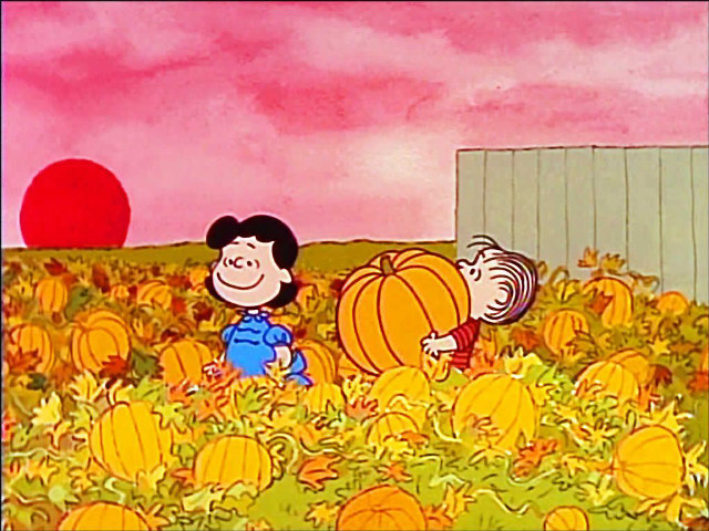Pumpkin patch boy girl autumn free wallpaper - medium preview image