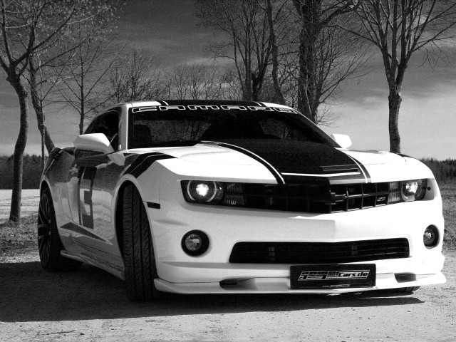 White car black stripe driveway free wallpaper - medium preview image