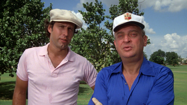 Two men hats park trees free wallpaper - medium preview image