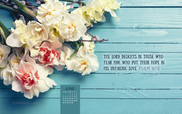 Blue wooden table flowers quote free wallpaper - medium preview image