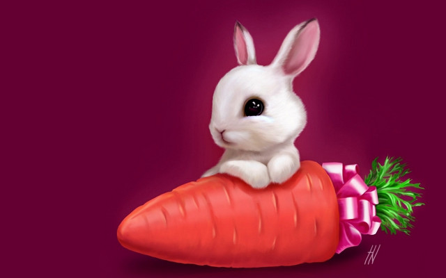 Rabbit sitting carrot bow neck free wallpaper - medium preview image