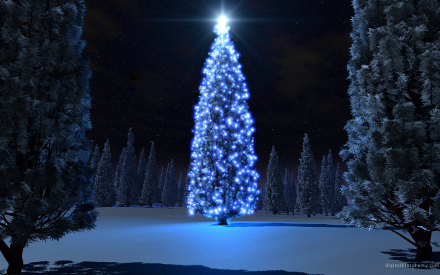 Christmas tree lit snow night #6 free wallpaper - medium preview image