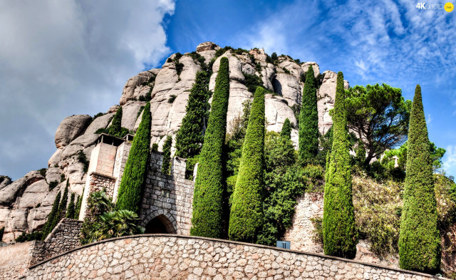 Stone wall trees blue sky free wallpaper - medium preview image