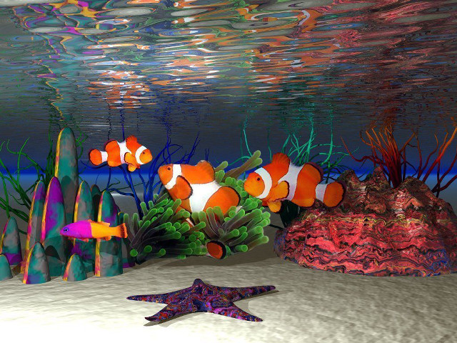 Fish starfish colorful aquarium corals free wallpaper - medium preview image