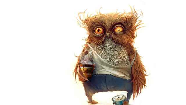 Owl beer holding cans fun free wallpaper - medium preview image