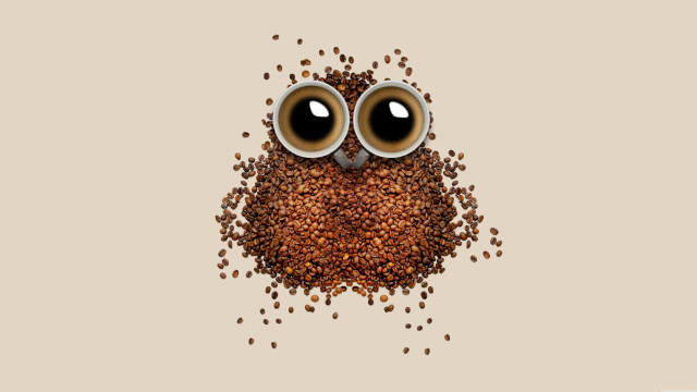 Coffee owl eyes coffee beans free wallpaper - medium preview image