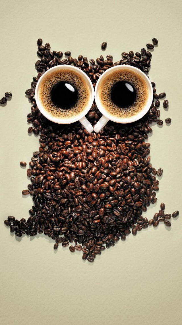 Coffee owl coffee beans eyes free wallpaper - medium preview image