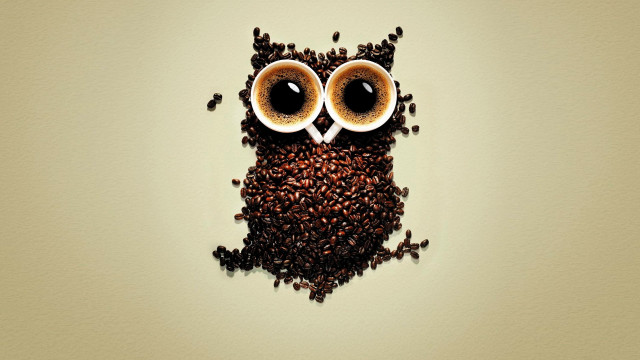 Coffee owl coffee beans shadow free wallpaper - medium preview image