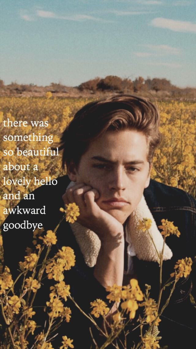Man sitting flower field polaroid free wallpaper - medium preview image
