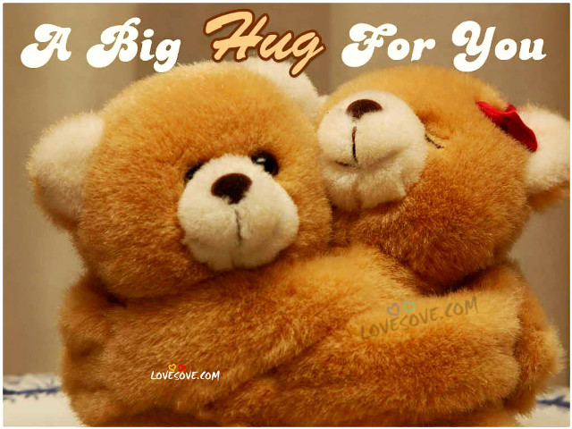 Teddy bears hugging caption image free wallpaper - medium preview image