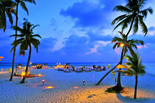 Beach palm trees people sitting free wallpaper - medium preview image