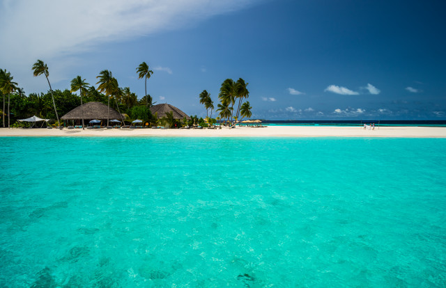 Beach hut palm trees ocean free wallpaper - medium preview image