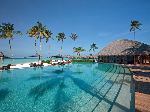 Resort pool palm trees beach #4 free wallpaper - medium preview image