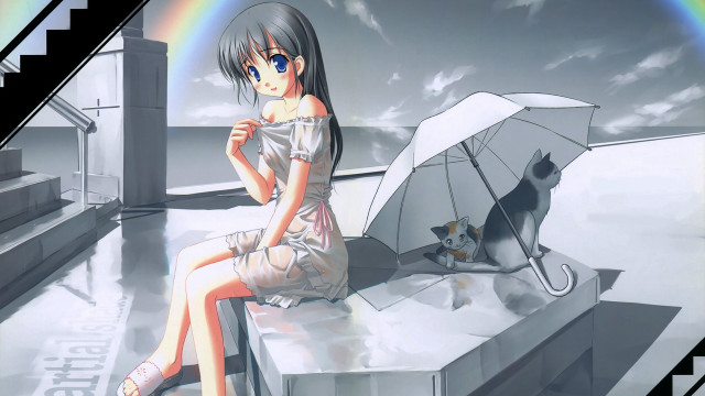Woman sitting ledge umbrella cat free wallpaper - medium preview image