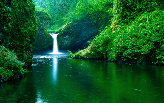 Waterfall green forest stream nature #12 free wallpaper - medium preview image