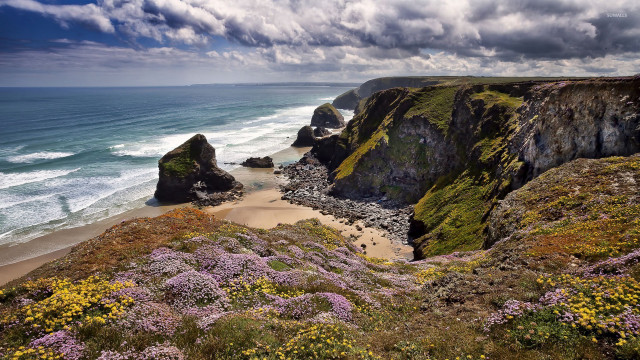 Beach cliff water clouds flowers free wallpaper - medium preview image