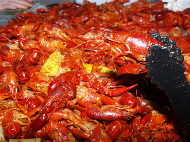 Cooked crawfish pile pan spatula free wallpaper - medium preview image