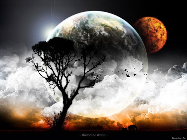 Horse bamboo mountain night sunset free wallpaper - medium preview image