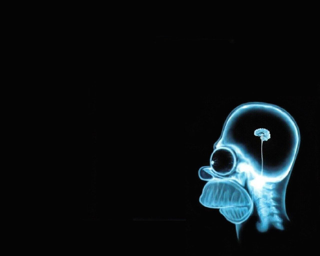 Glowing skeleton flower mouth white free wallpaper - medium preview image