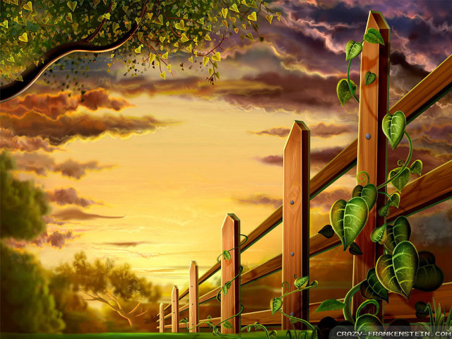 Fence tree sunset clouds foreground free wallpaper - medium preview image